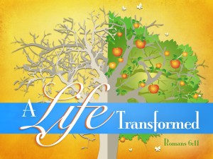 A Life Transformed