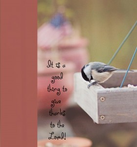 Chickadee praying Nov 2013