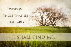 Wisdom seek early