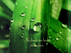 He Leads Me Beside Still Water