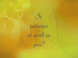 Patience let it have its perfect work