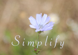 Simplify