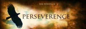 perseverence