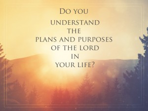 plans and purposes