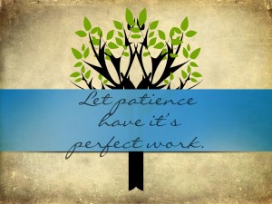 patience and why we need it
