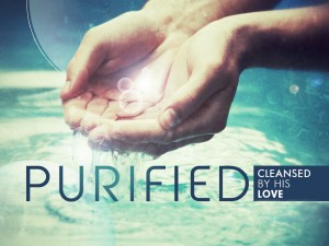 purified