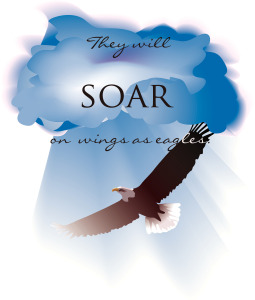 soar