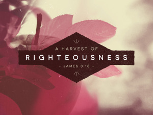 Harvest of righteousness
