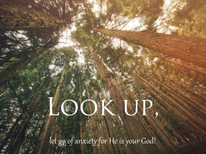 look up for he is your god