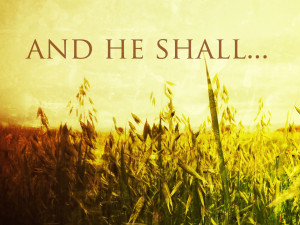 and he shall