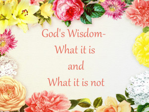 gods wisdom what it is and what it is not