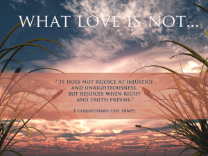 what love is not IT REJOICES IN THE TRUTH