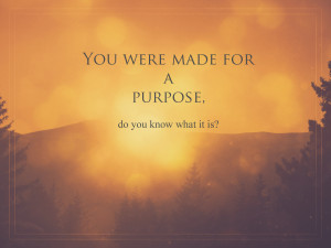 purpose do you know what it is