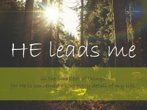 he leads me for he is concerned